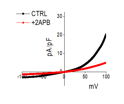 2-APB 1224