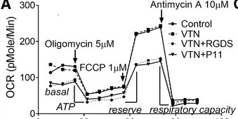 Actinomycin D 1229