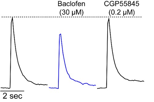 CGP 55845 hydrochloride 1248