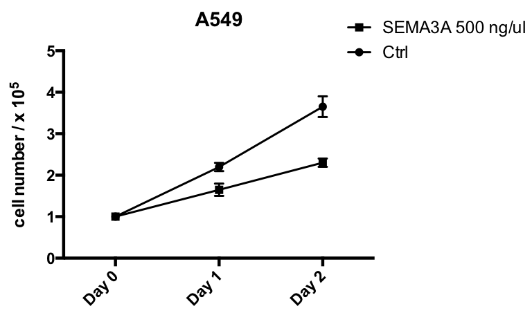 Recombinant Human Semaphorin 3A Fc Chimera Protein, CF 1250-S3