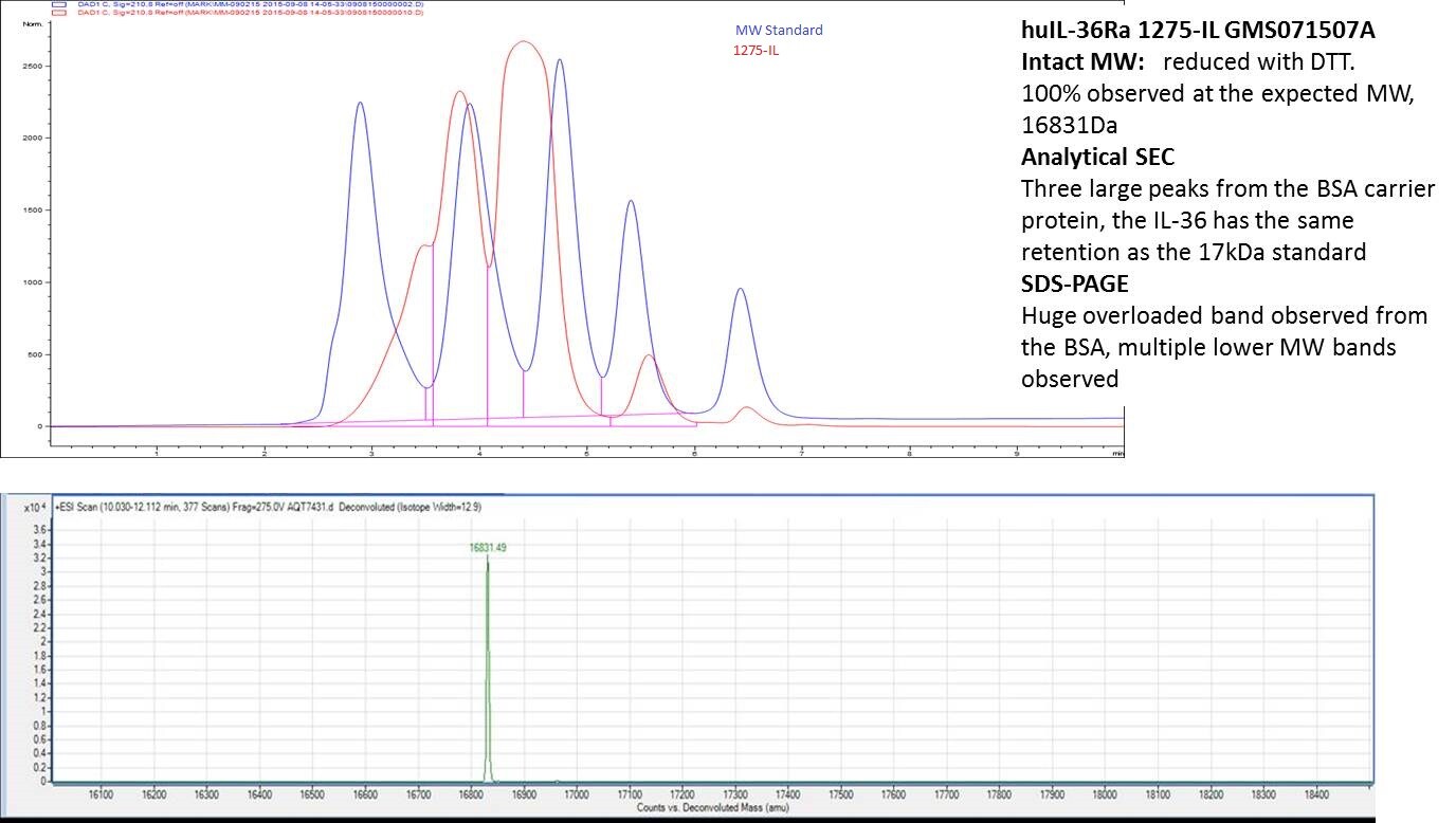 Recombinant Human IL-36Ra/IL-1F5 Protein 1275-IL