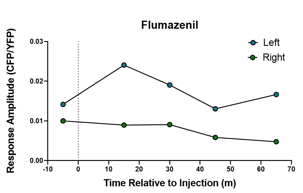 Flumazenil 1328
