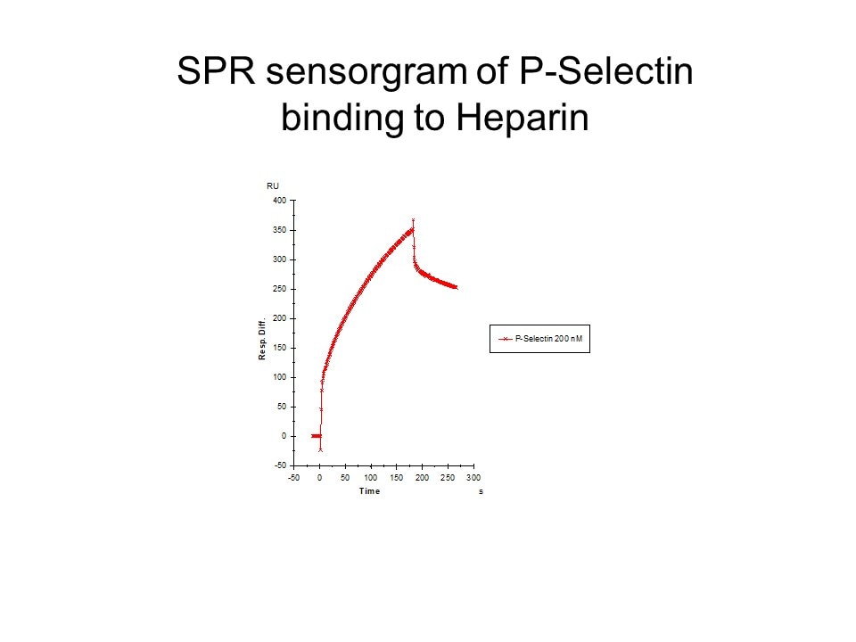 Recombinant Human P-Selectin/CD62P Fc Chimera Protein, CF 137-PS