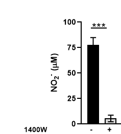 1400W dihydrochloride 1415