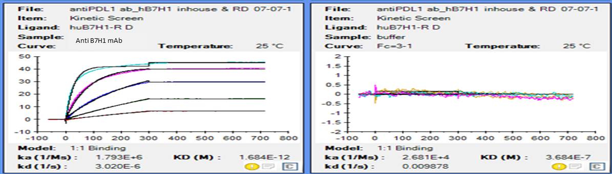 Recombinant Human PD-L1/B7-H1 Fc Chimera Protein, CF 156-B7