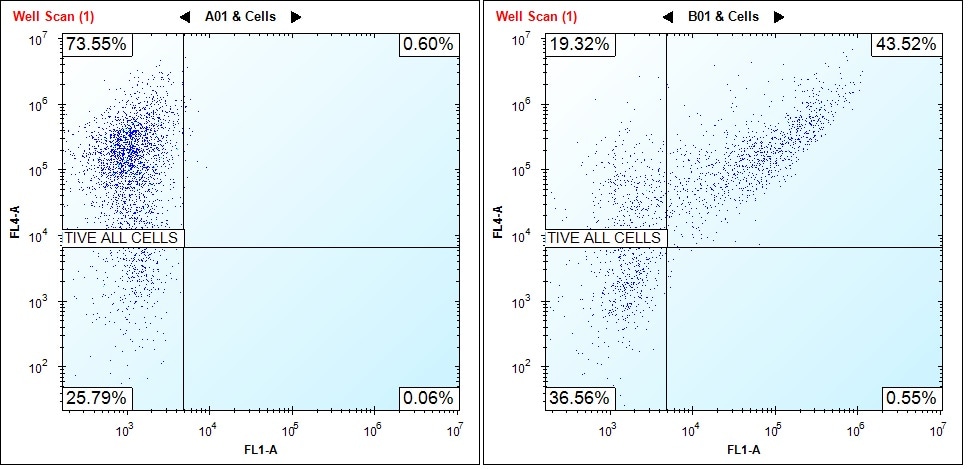 Recombinant Human PD-L1/B7-H1 Fc Chimera Protein, CF 156-B7