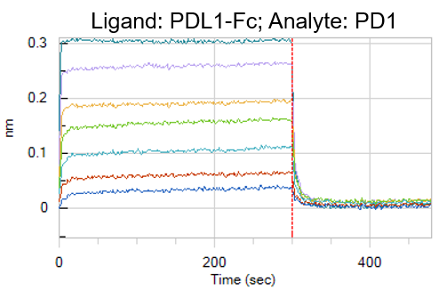 Recombinant Human PD-L1/B7-H1 Fc Chimera Protein, CF 156-B7
