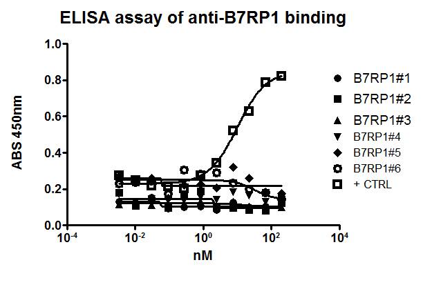 Recombinant Mouse B7-H2 Fc Chimera Protein, CF 158-B7