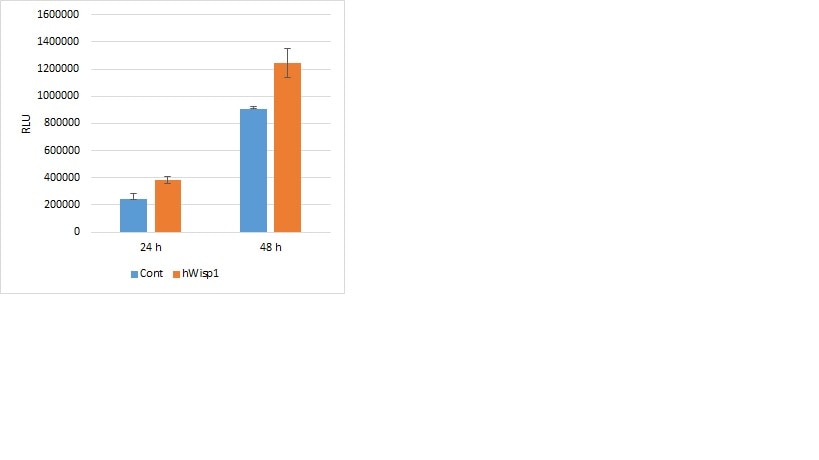 Recombinant Human WISP-1/CCN4 Protein, CF 1627-WS