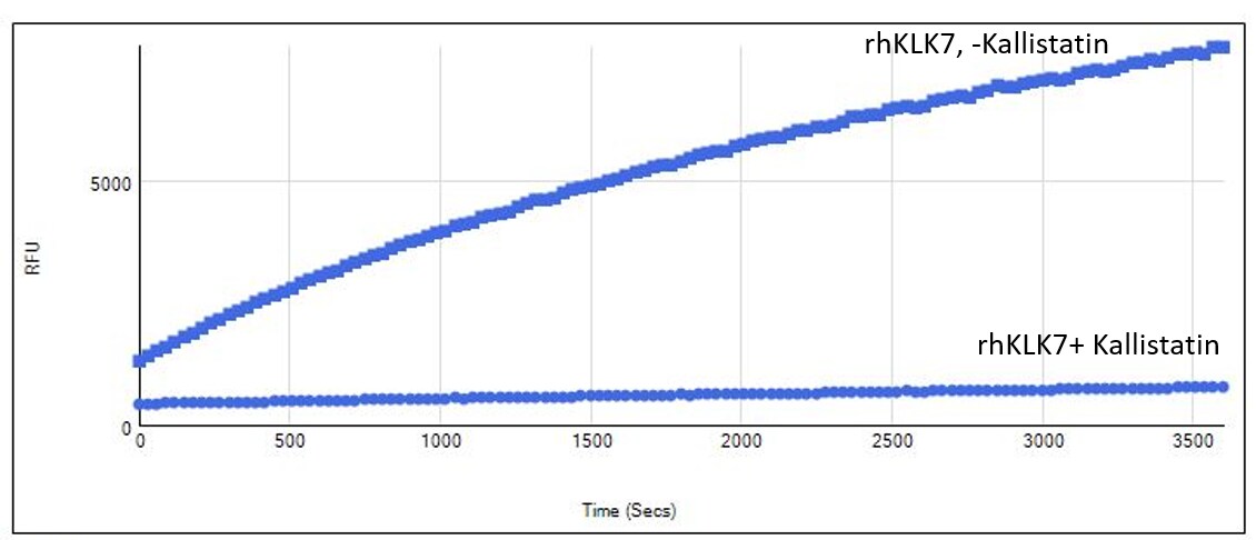 Recombinant Human Serpin A4/Kallistatin Protein, CF 1669-PI