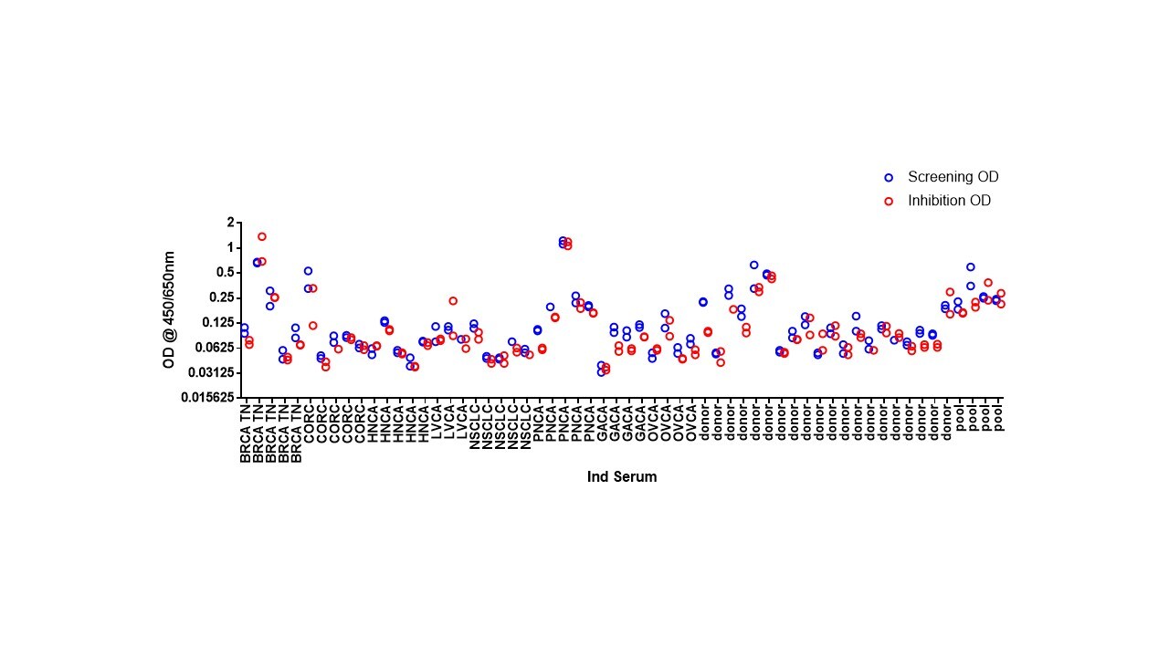 Recombinant Human OMgp Protein, CF 1673-OM