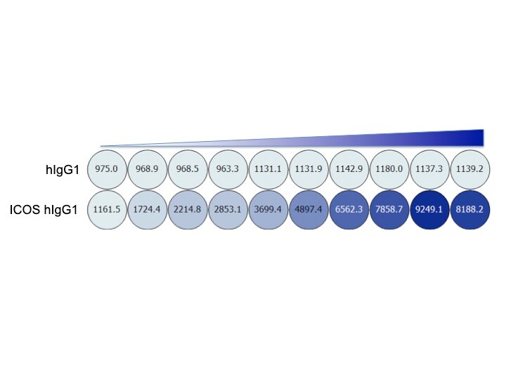 Recombinant Human ICOS Fc Chimera Protein, CF 169-CS