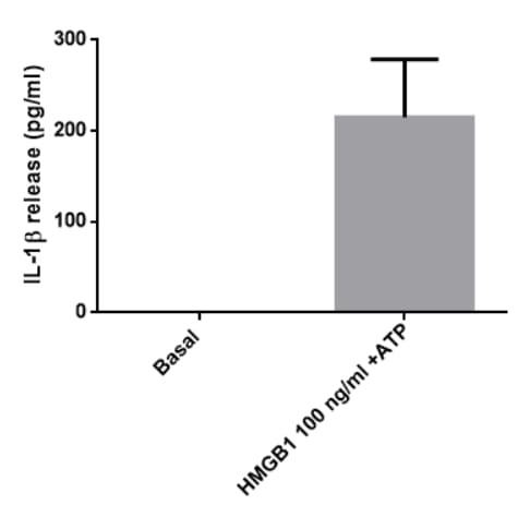 Recombinant Human HMGB1 Protein, CF 1690-HMB