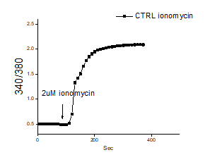Ionomycin calcium salt 1704
