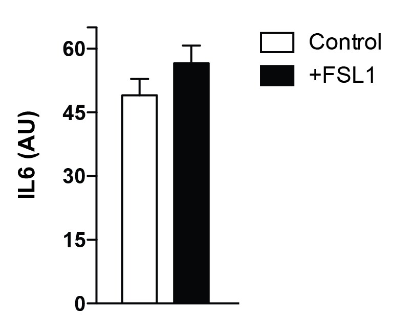 Recombinant Mouse Follistatin-like 1 Protein, CF 1738-FN