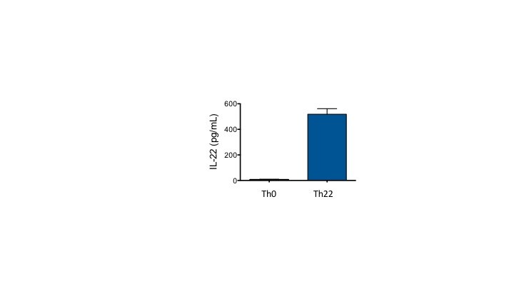 Recombinant Mouse IL-23 Protein 1887-ML