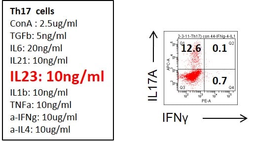 Recombinant Mouse IL-23 Protein 1887-ML