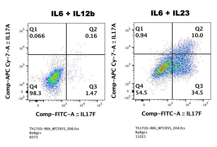 Recombinant Mouse IL-23 Protein 1887-ML