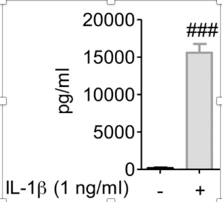 Recombinant Human IL-1 beta/IL-1F2 Protein 201-LB