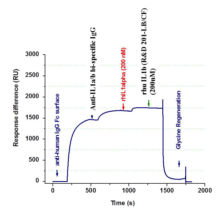 Recombinant Human IL-1 beta/IL-1F2 Protein 201-LB