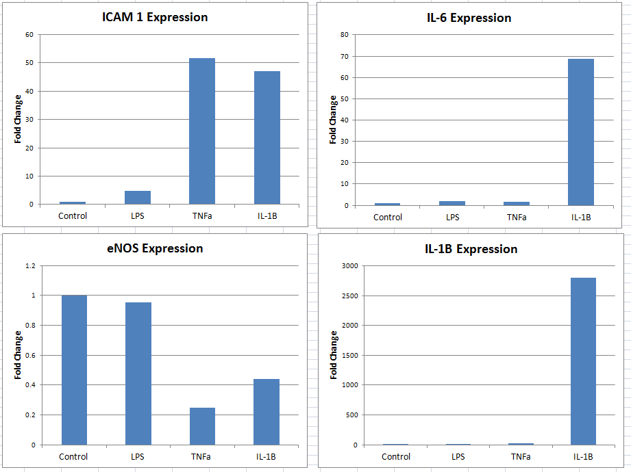 Recombinant Human IL-1 beta/IL-1F2 Protein 201-LB