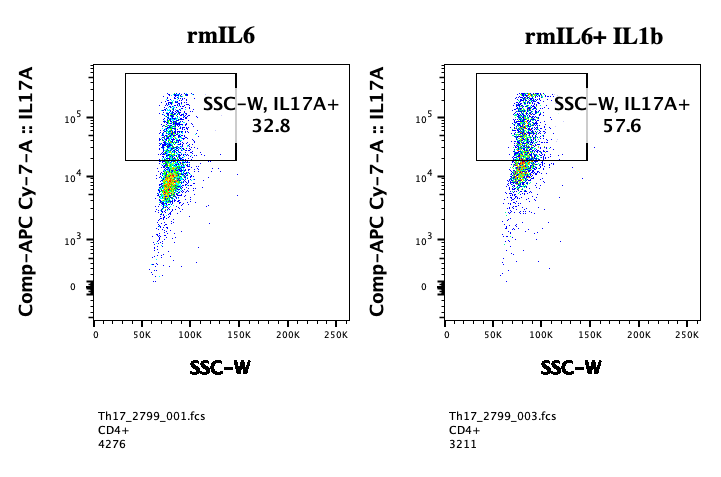 Recombinant Human IL-1 beta/IL-1F2 Protein 201-LB