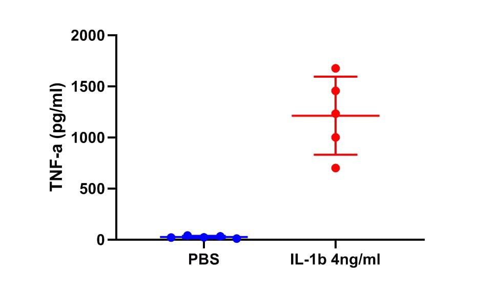 Recombinant Human IL-1 beta/IL-1F2 Protein 201-LB