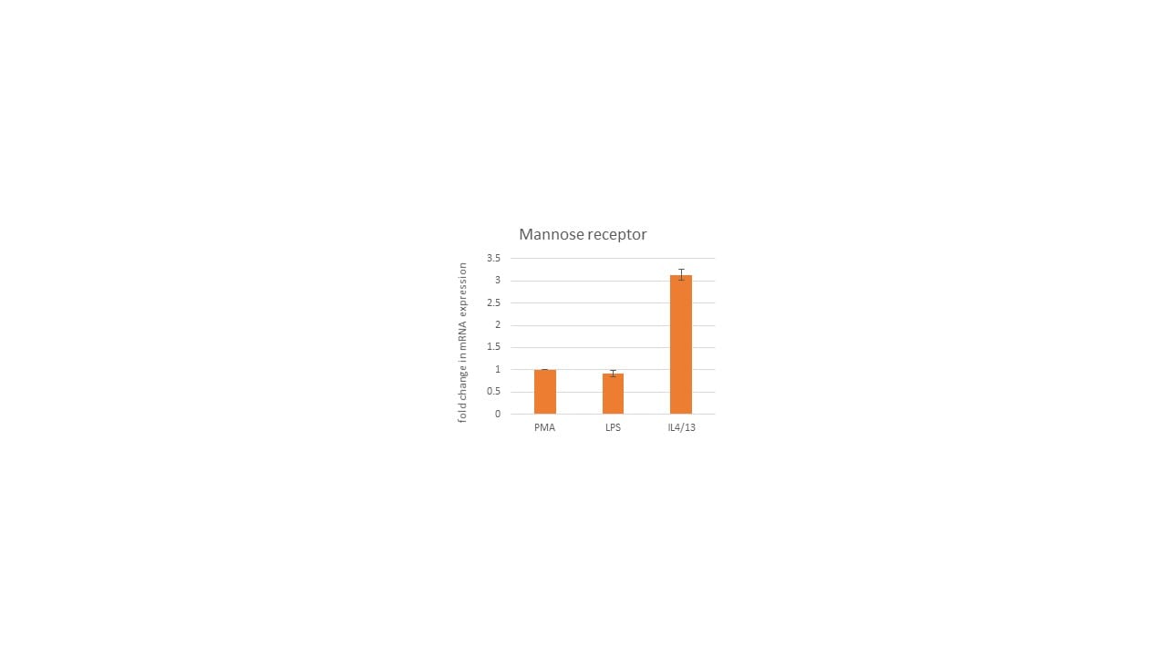 Recombinant Human IL-4 Protein 204-IL
