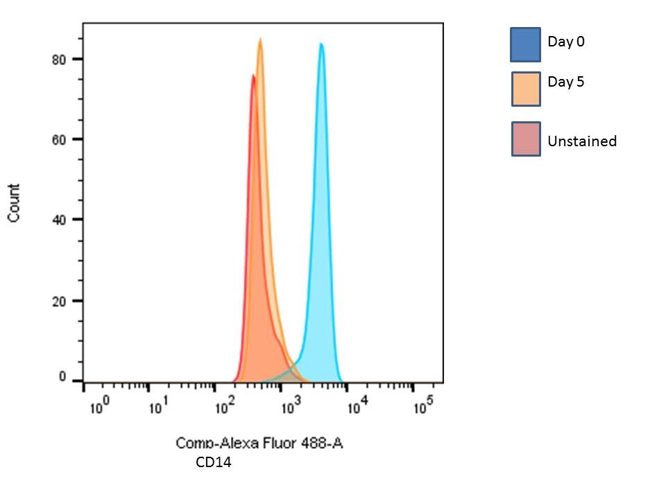 Recombinant Human IL-4 Protein 204-IL