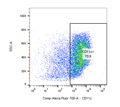 Recombinant Human IL-4 Protein 204-IL