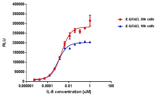 Recombinant Human IL-8/CXCL8 Protein 208-IL