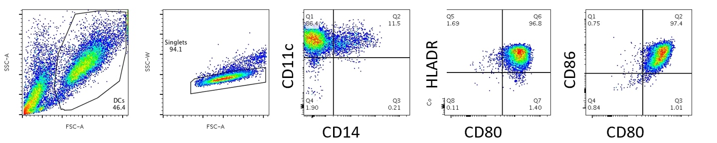 Recombinant Human TNF-alpha Protein 210-TA