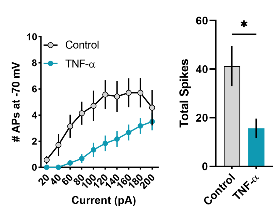 Recombinant Human TNF-alpha Protein 210-TA