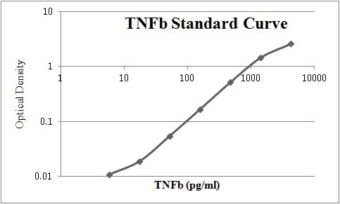 Recombinant Human Lymphotoxin-alpha/TNF-beta Protein 211-TBB