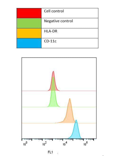 Recombinant Human IL-13 Protein 213-ILB