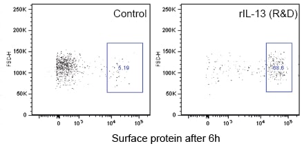 Recombinant Human IL-13 Protein 213-ILB