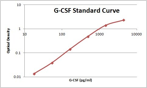 Recombinant Human G-CSF Protein 214-CS