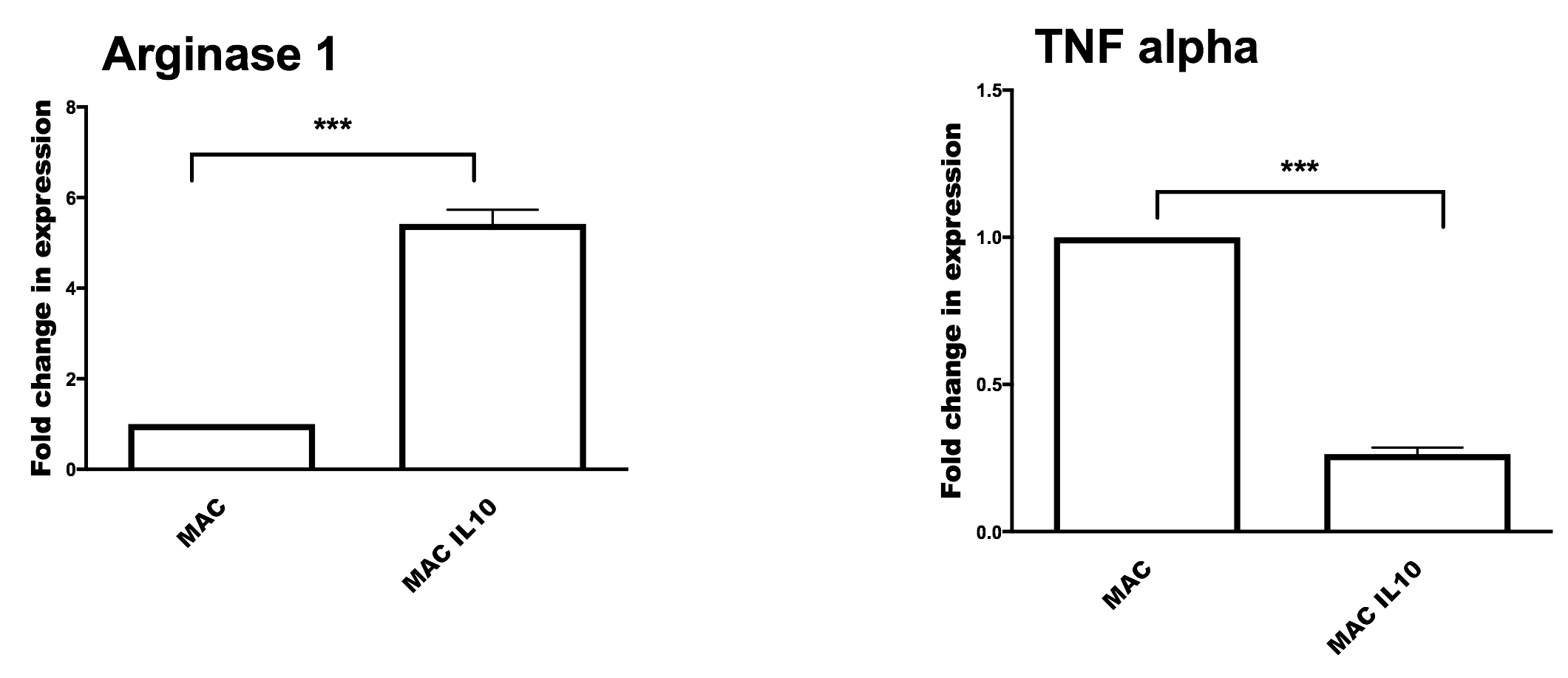 Recombinant Human IL-10 Protein 217-IL