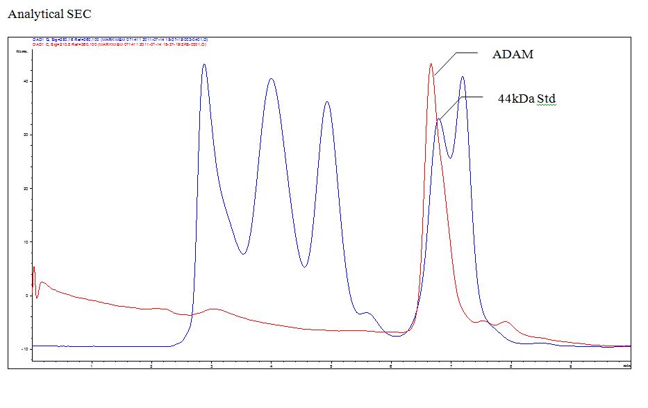 Recombinant Human ADAMTS5 Protein, CF 2198-AD