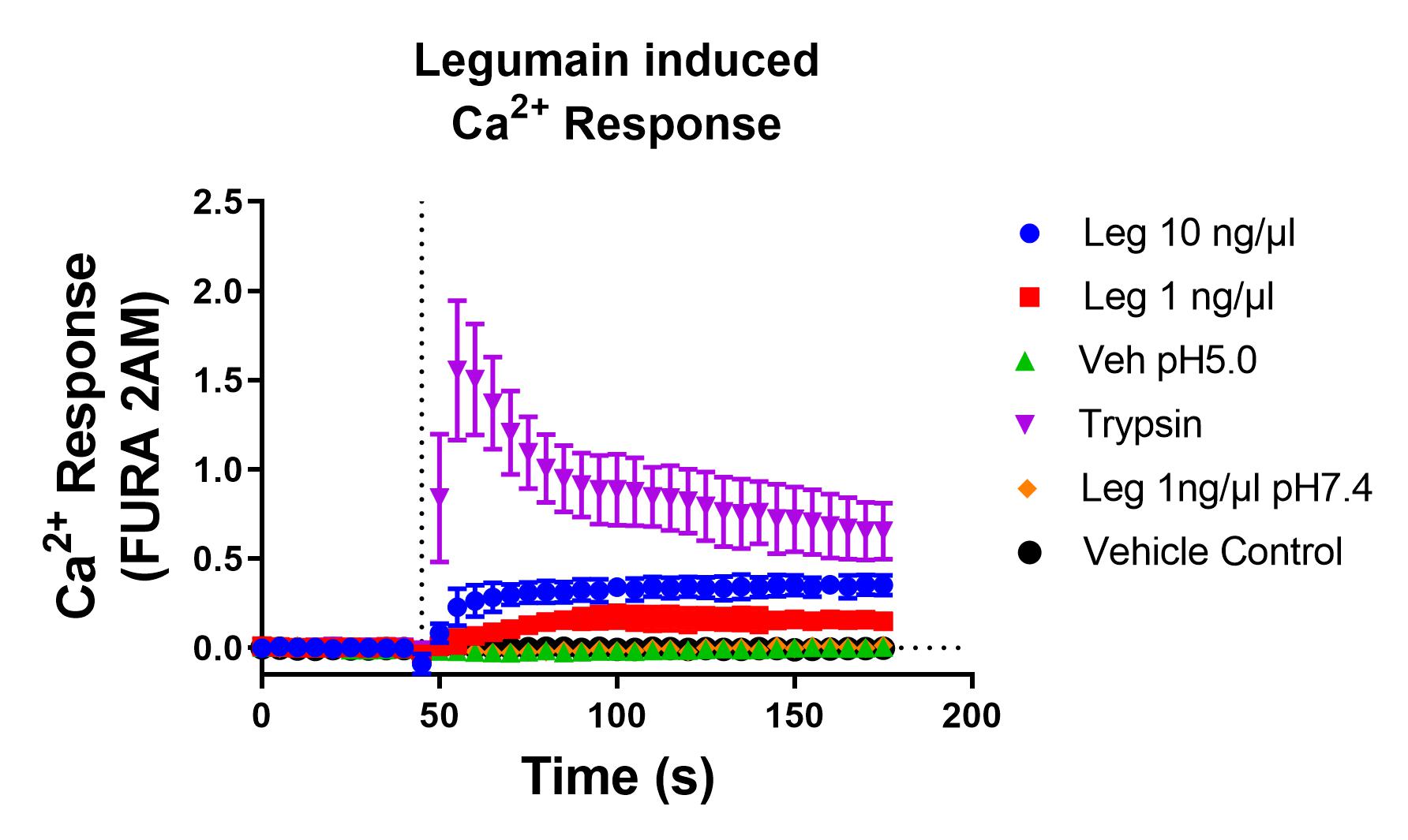 Recombinant Human Legumain/Asparaginyl Endopeptidase, CF 2199-CY