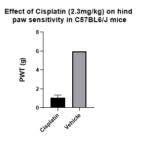 Cisplatin 2251