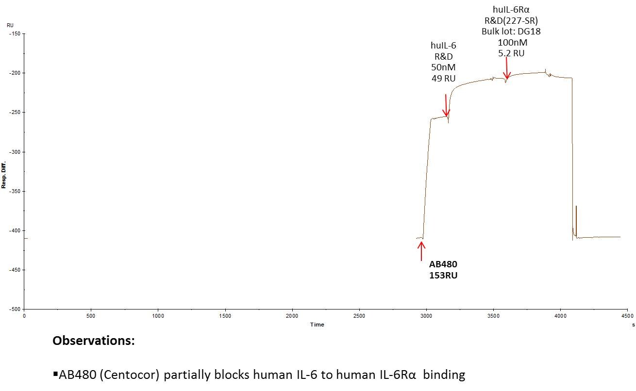 Recombinant Human IL-6R alpha Protein 227-SR