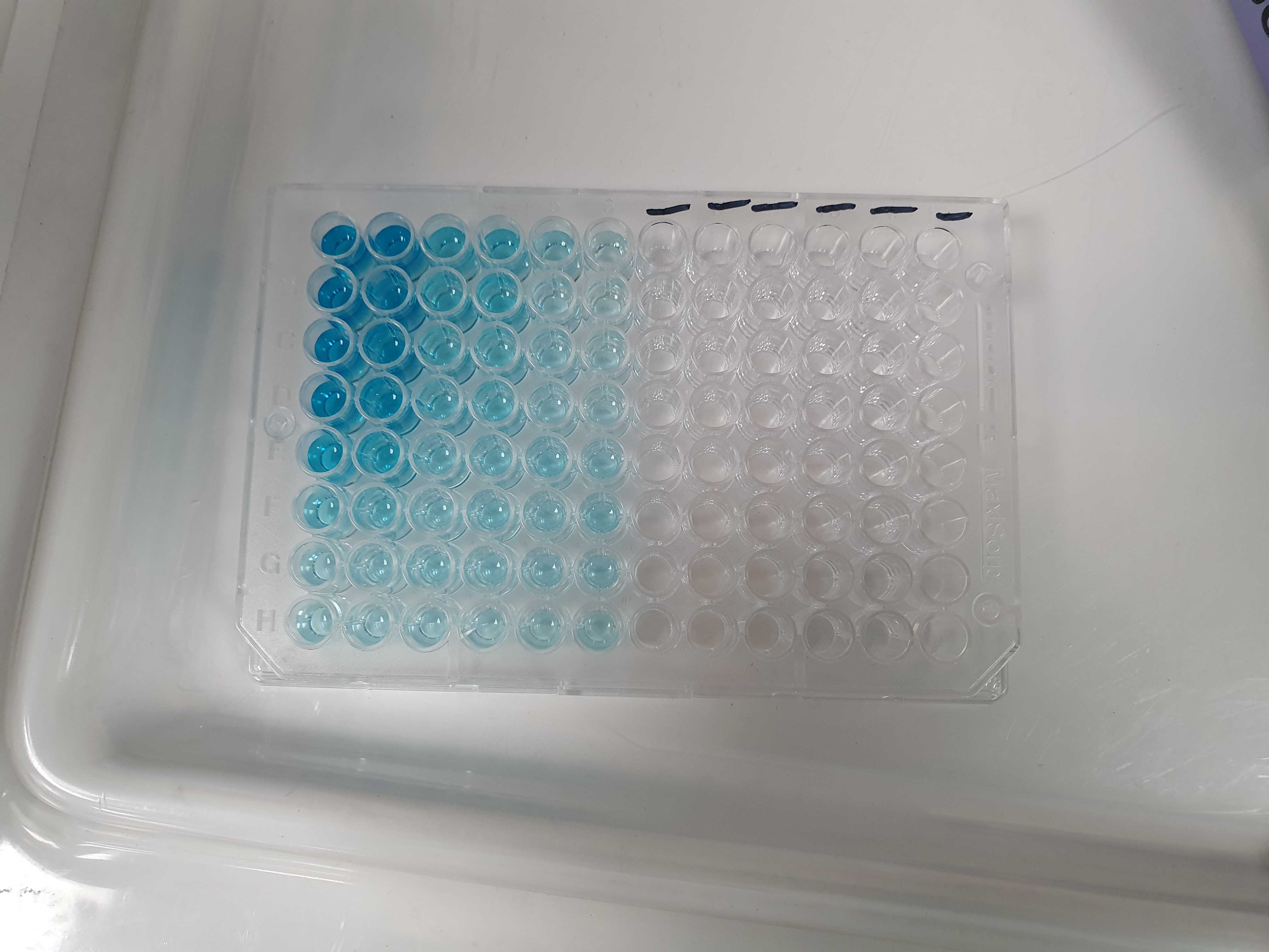 Recombinant Human 4-1BB Ligand/TNFSF9 Protein 2295-4L