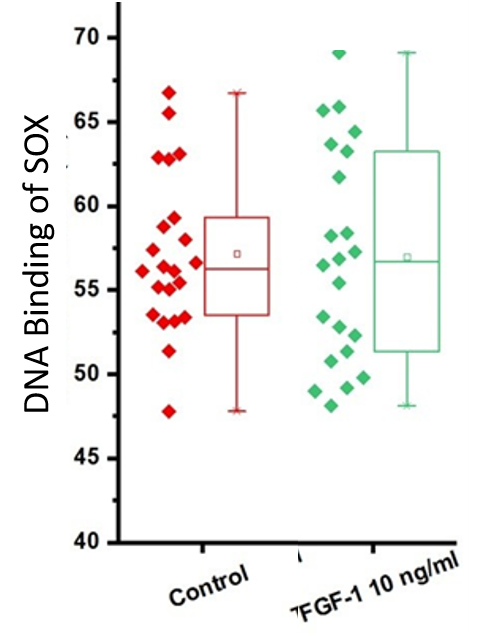 Recombinant Human FGF acidic/FGF1 (aa 16-155) Protein 232-FA