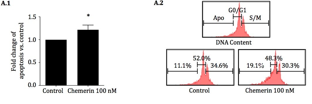 Recombinant Mouse Chemerin (aa 17-156) Protein 2325-CM