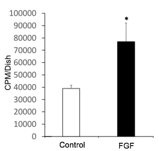 Recombinant Human FGF basic/FGF2/bFGF (157 aa) Protein 234-FSE