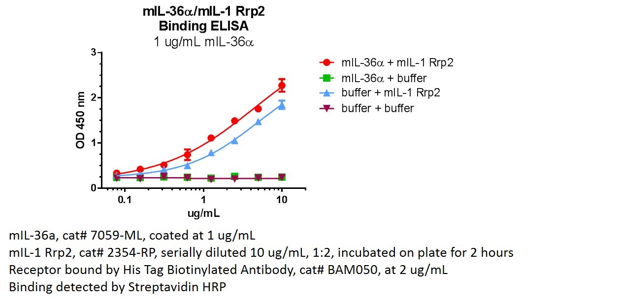 Recombinant Mouse IL-1Rrp2/IL-1R6 Protein 2354-RP