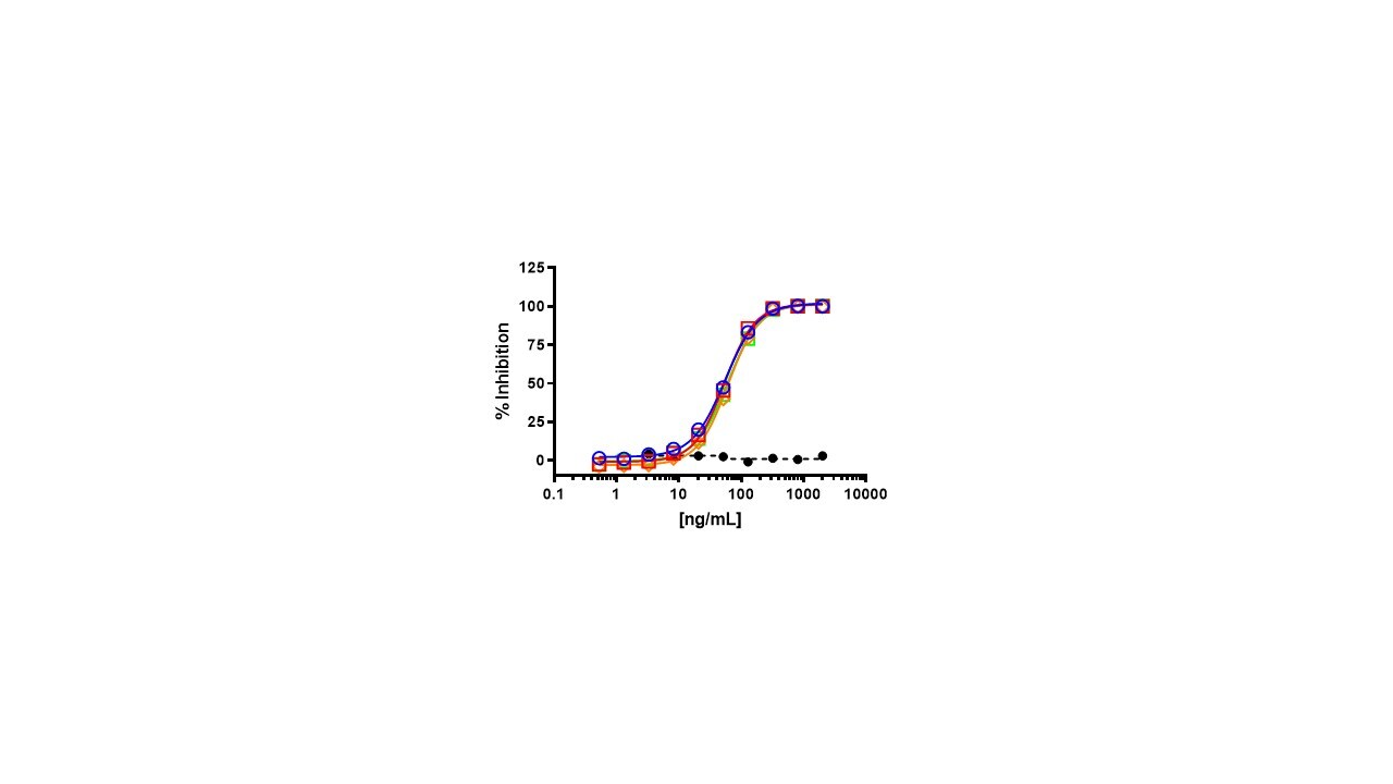 Recombinant Human DDR1 Fc Chimera Protein, CF 2396-DR