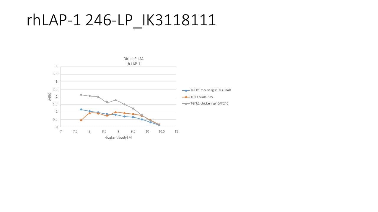 Recombinant Human LAP (TGF-beta 1) Protein 246-LP