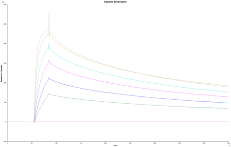 Recombinant Human TfR Protein, CF 2474-TR